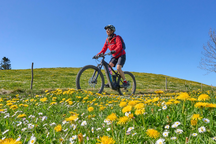 Fahrrad-Check Tipps für mehr Fahrkomfort im Frühling